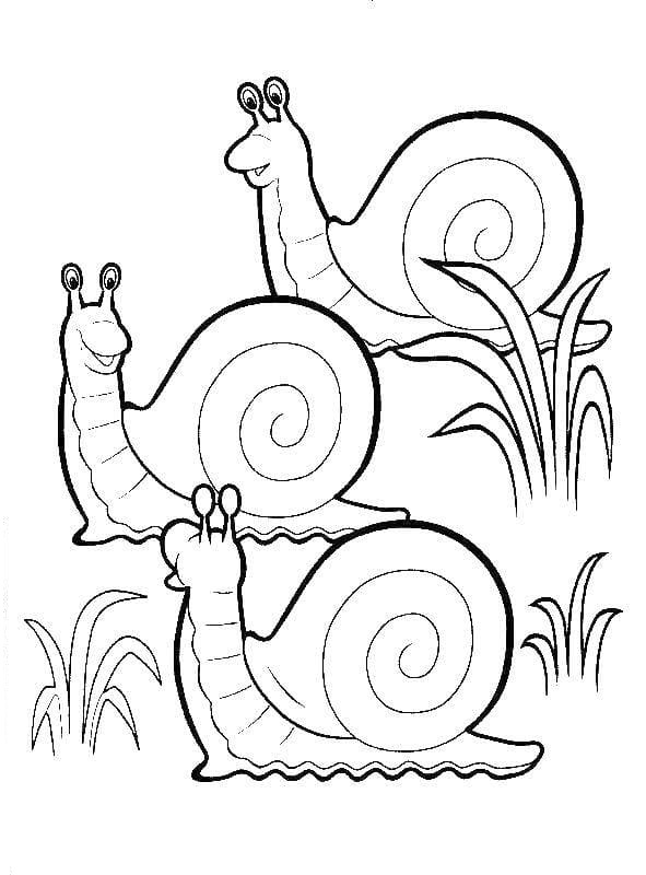 Dibujos para colorear e imprimir Snail