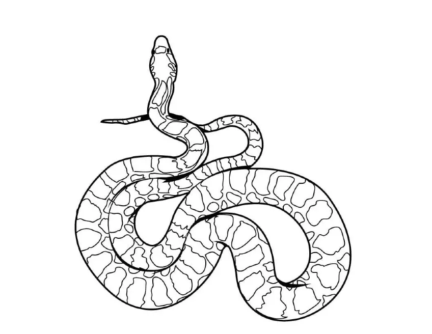 Dibujos para colorear e imprimir Snake