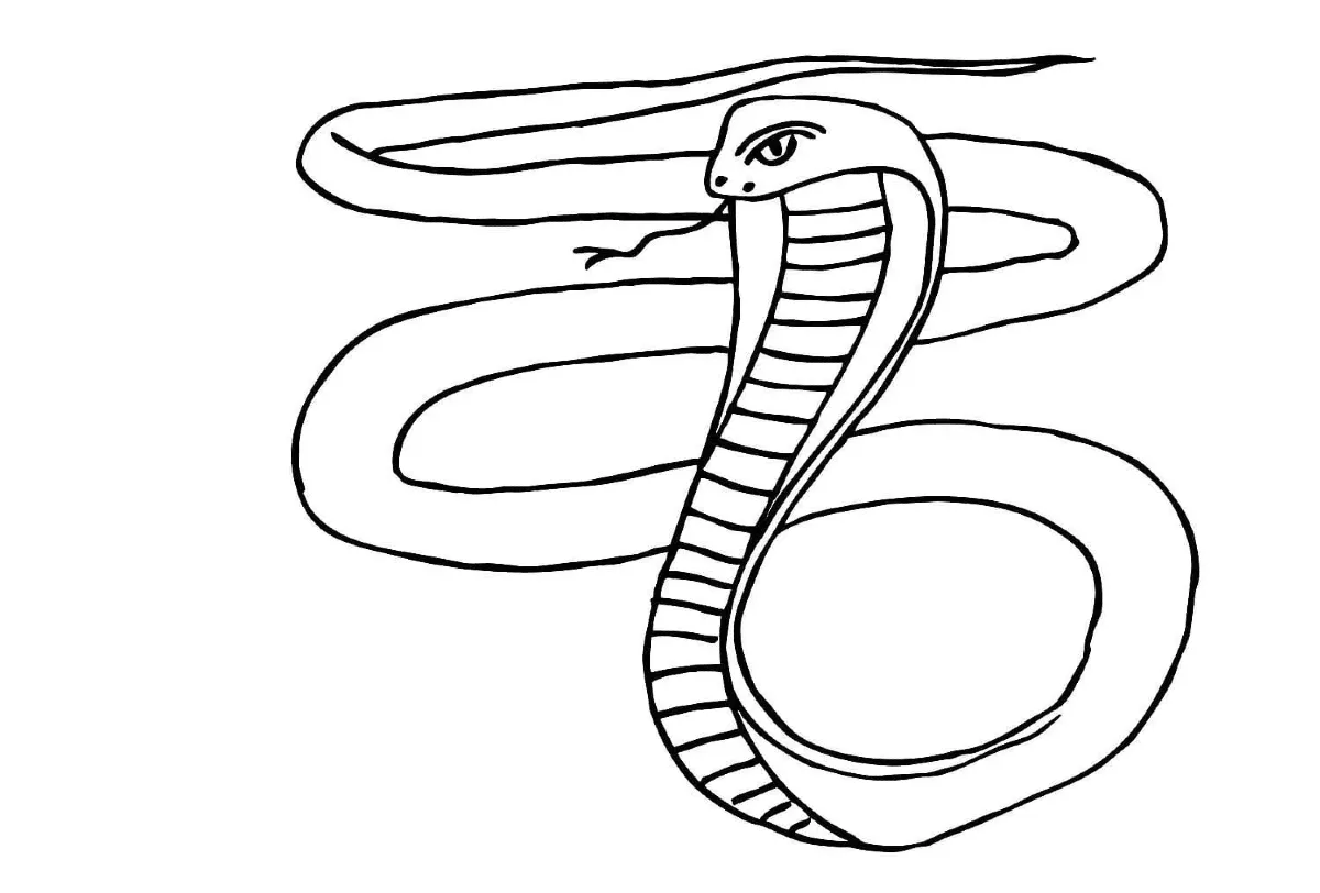 Dibujos para colorear e imprimir Snake