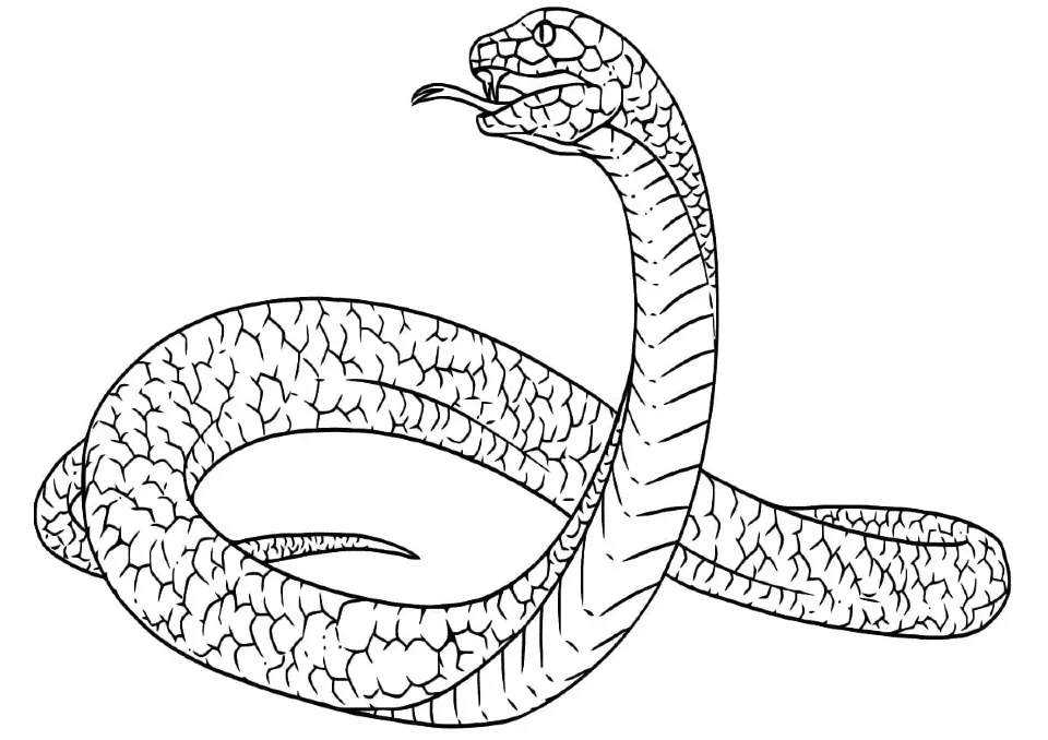 Dibujos para colorear e imprimir Snake