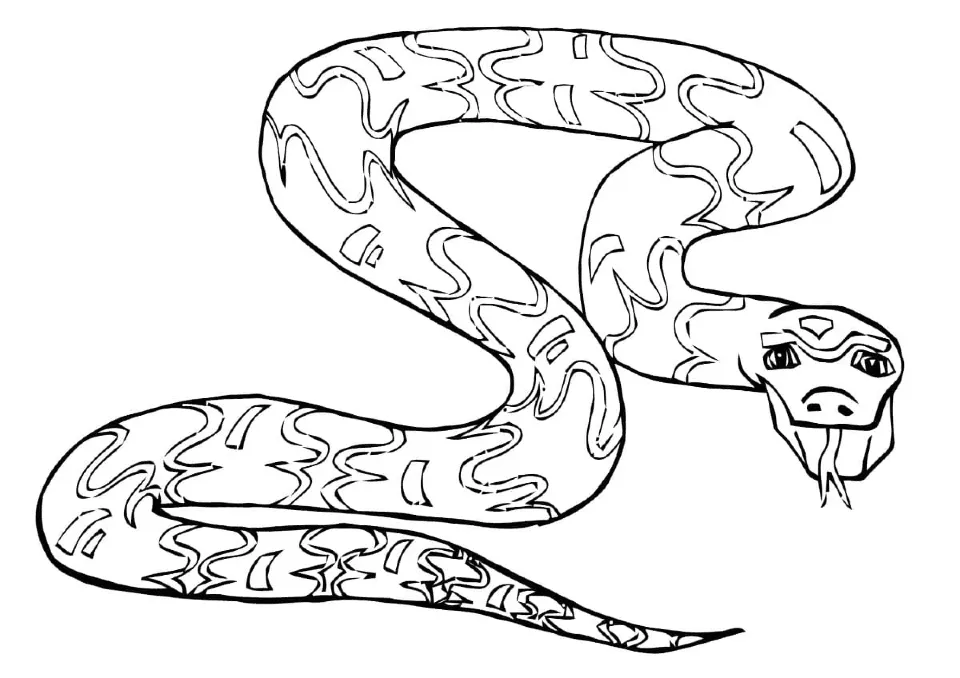 Dibujos para colorear e imprimir Snake