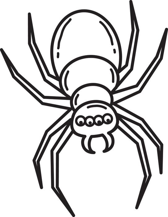 Dibujos para colorear e imprimir Spiders