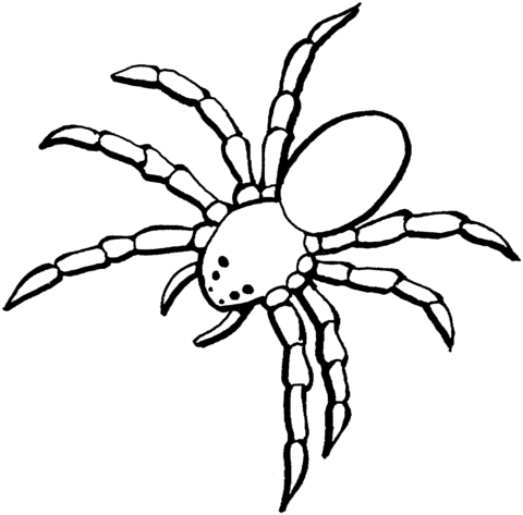 Dibujos para colorear e imprimir Spiders