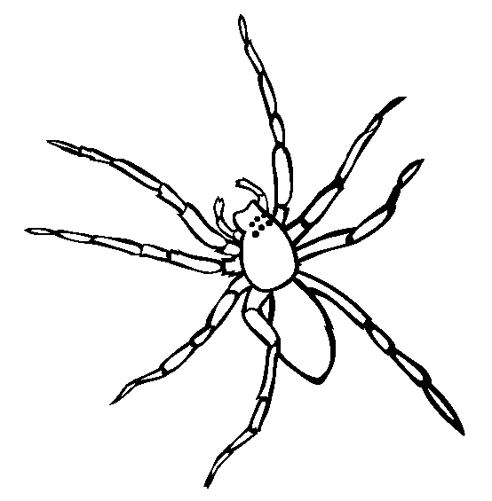 Dibujos para colorear e imprimir Spiders