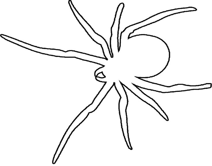 Dibujos para colorear e imprimir Spiders