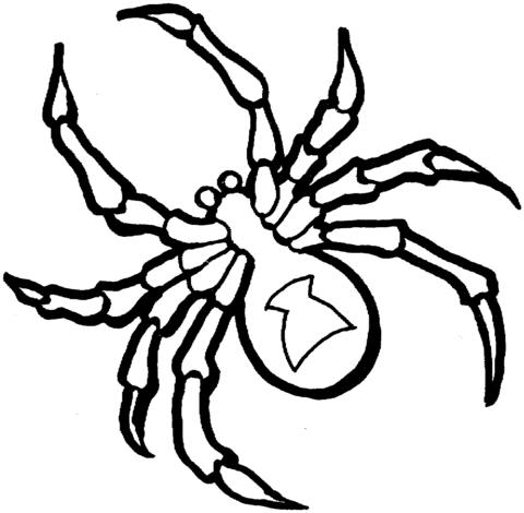 Dibujos para colorear e imprimir Spiders