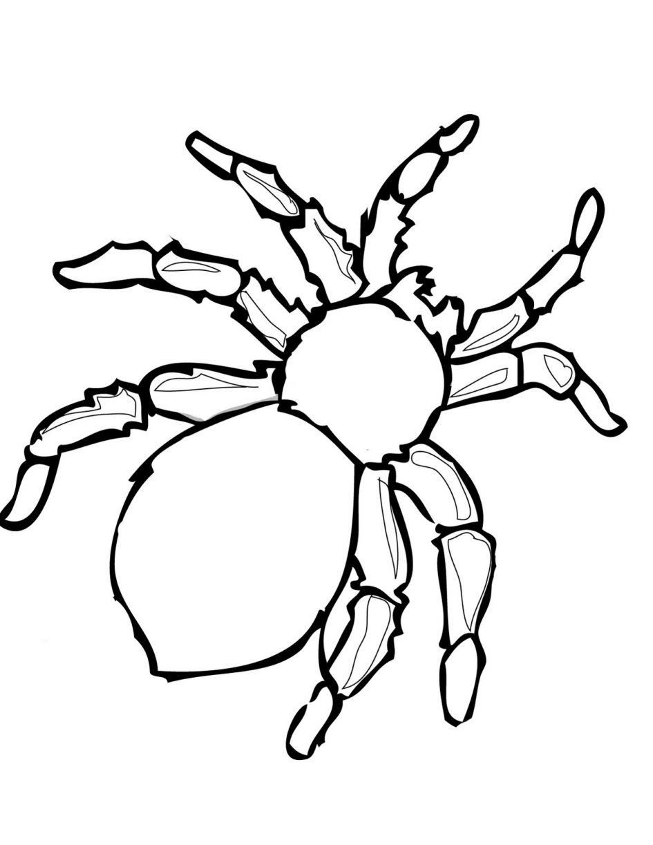 Dibujos para colorear e imprimir Spiders