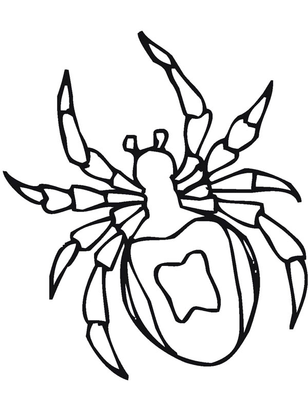 Dibujos para colorear e imprimir Spiders