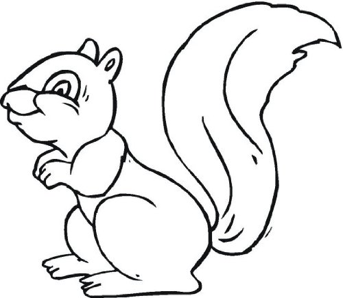 Dibujos para colorear e imprimir Squirrels