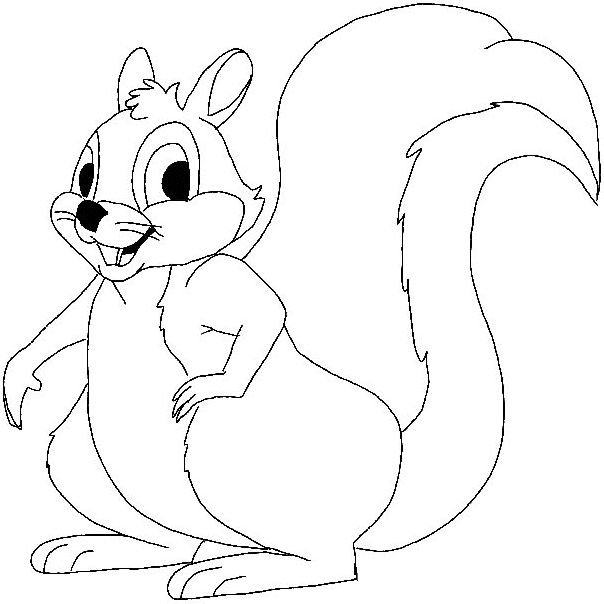 Dibujos para colorear e imprimir Squirrels