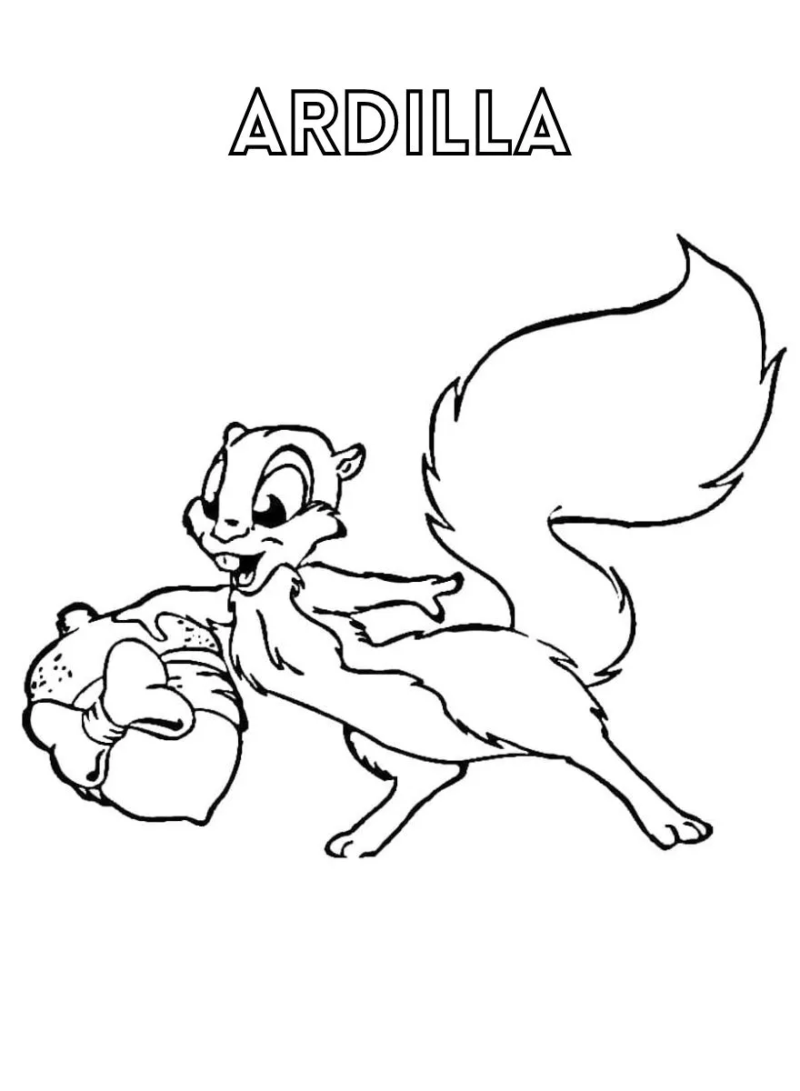 Dibujos para colorear e imprimir Squirrels