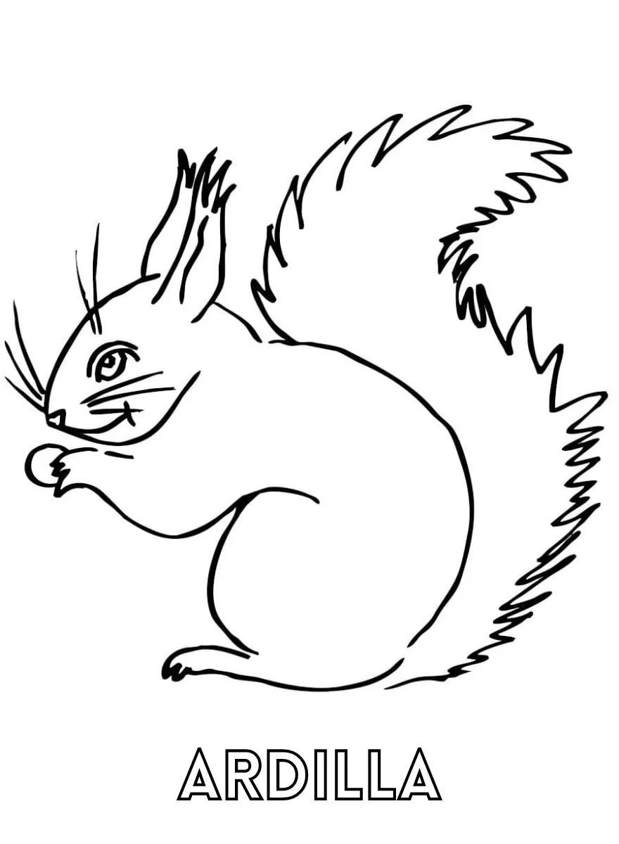 Dibujos para colorear e imprimir Squirrels