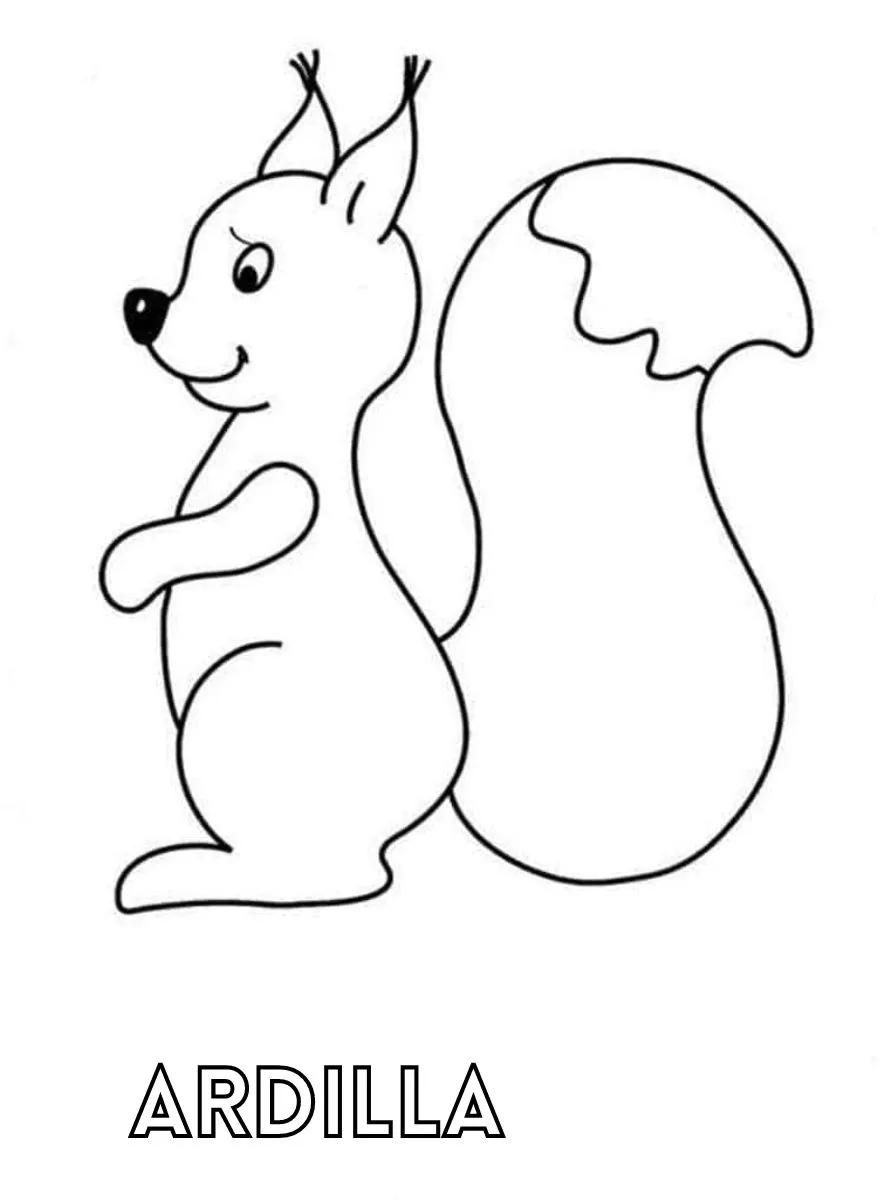 Dibujos para colorear e imprimir Squirrels