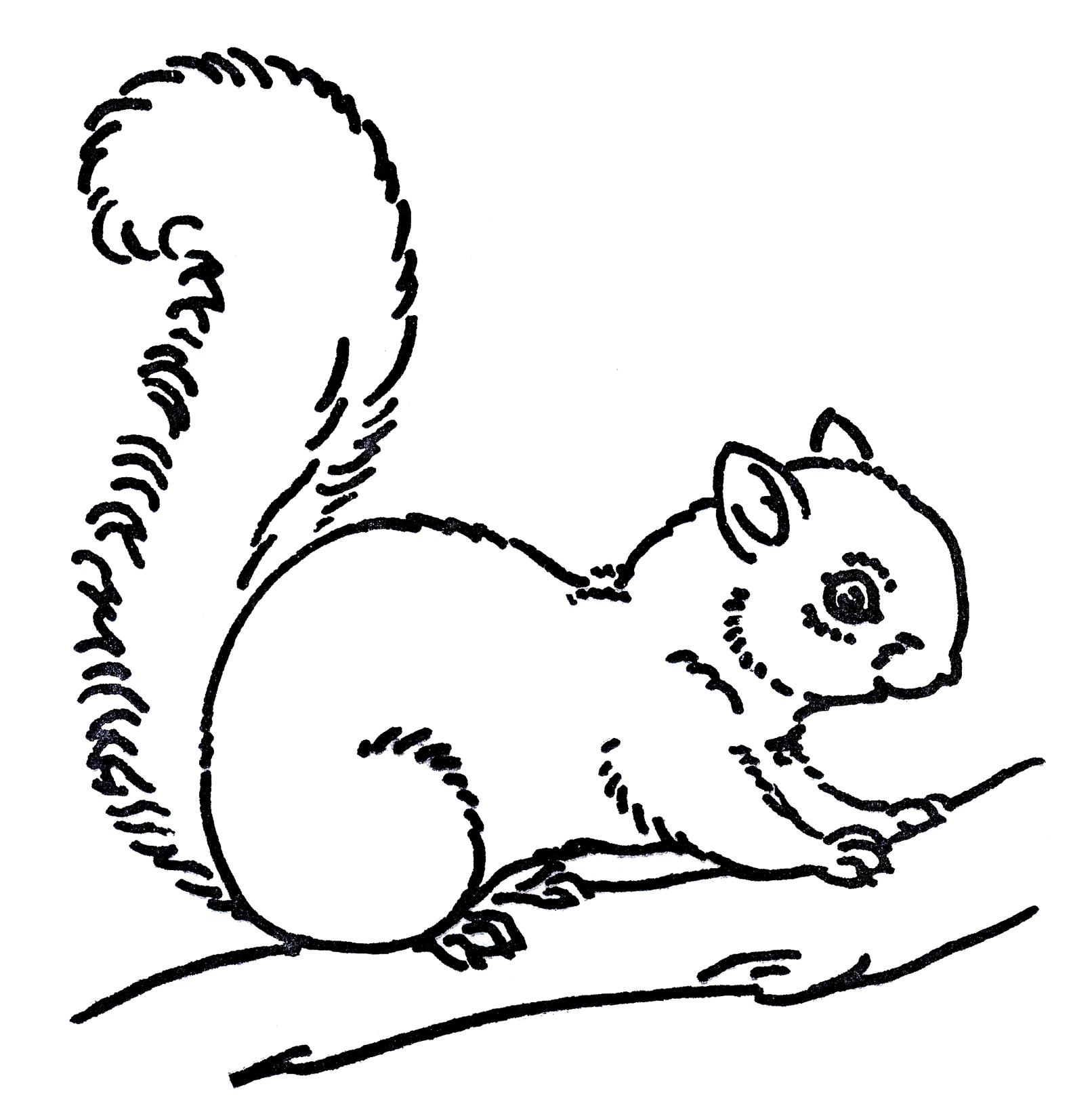 Dibujos para colorear e imprimir Squirrels