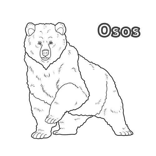 Dibujos para colorear e imprimir Teddy Bears