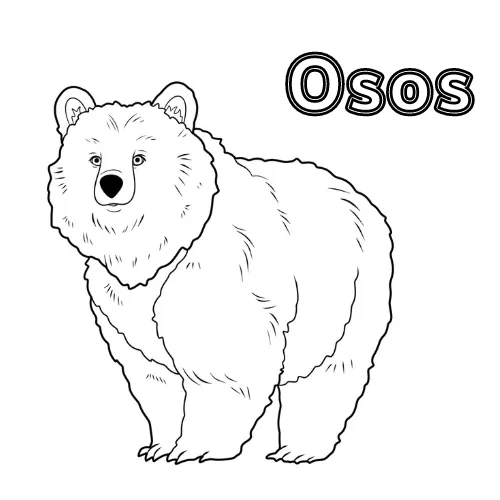 Dibujos para colorear e imprimir Teddy Bears