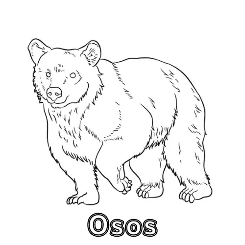 Dibujos para colorear e imprimir Teddy Bears