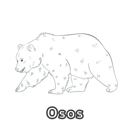 Dibujos para colorear e imprimir Teddy Bears