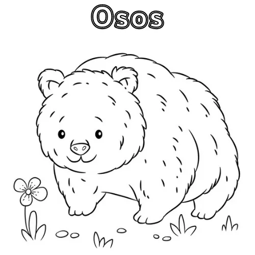 Dibujos para colorear e imprimir Teddy Bears