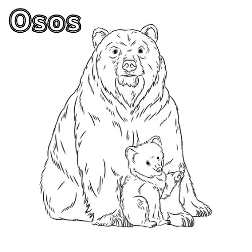 Dibujos para colorear e imprimir Teddy Bears