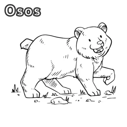 Dibujos para colorear e imprimir Teddy Bears