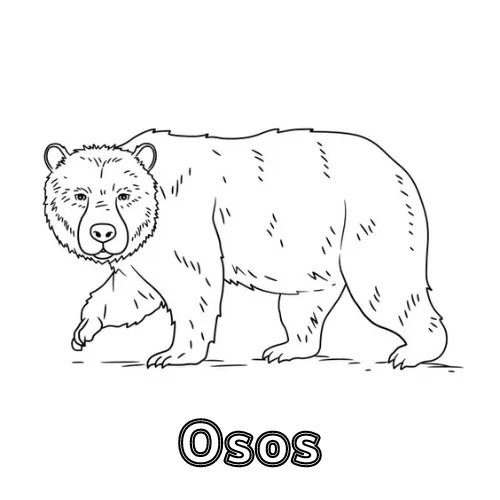 Dibujos para colorear e imprimir Teddy Bears