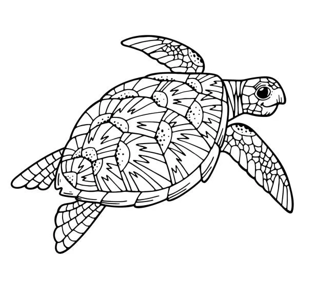 Dibujos para colorear e imprimir Turtle