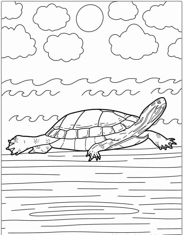 Dibujos para colorear e imprimir Turtle