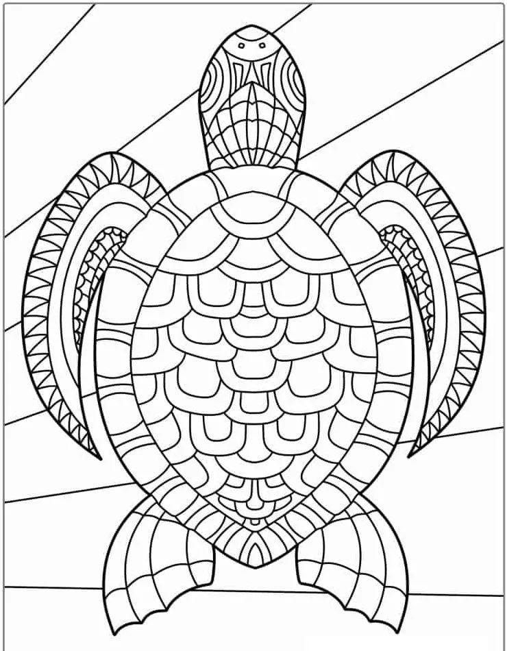 Dibujos para colorear e imprimir Turtle