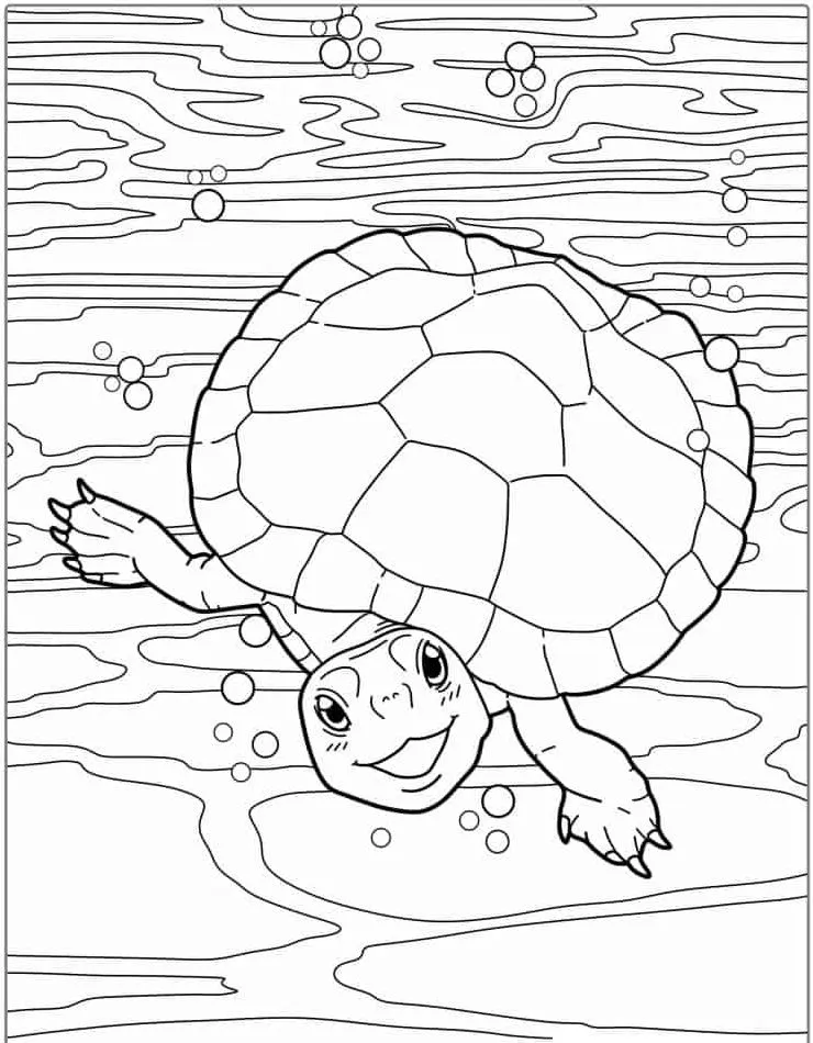 Dibujos para colorear e imprimir Turtle