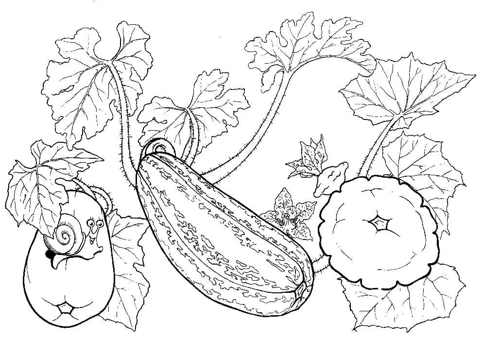 Dibujos para colorear e imprimir Vegetables