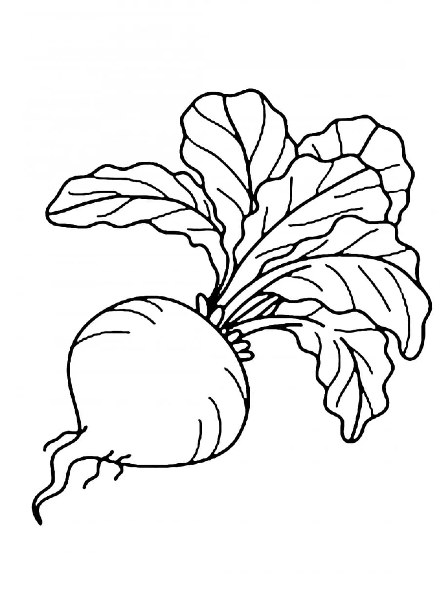 Dibujos para colorear e imprimir Vegetables