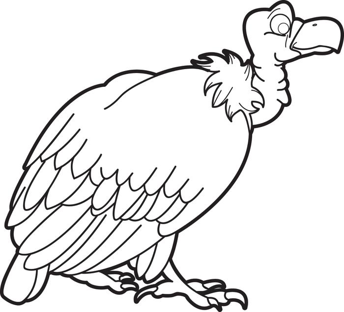 Dibujos para colorear e imprimir Vultures