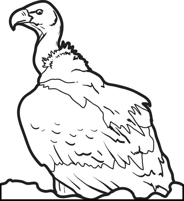 Dibujos para colorear e imprimir Vultures