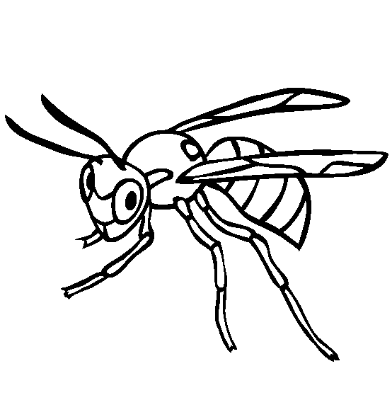 Wasps coloring page 1