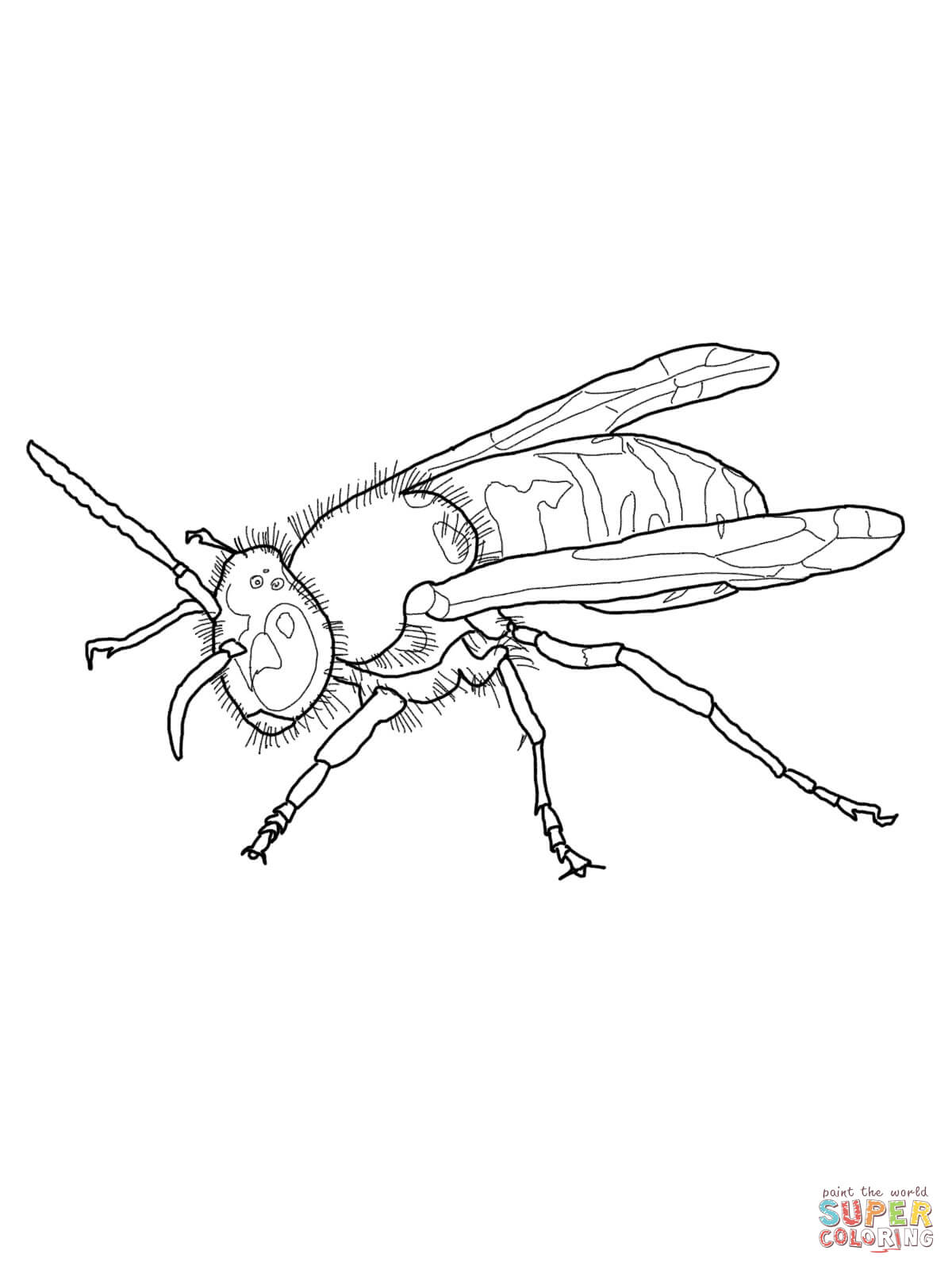 Dibujos para colorear e imprimir Wasps