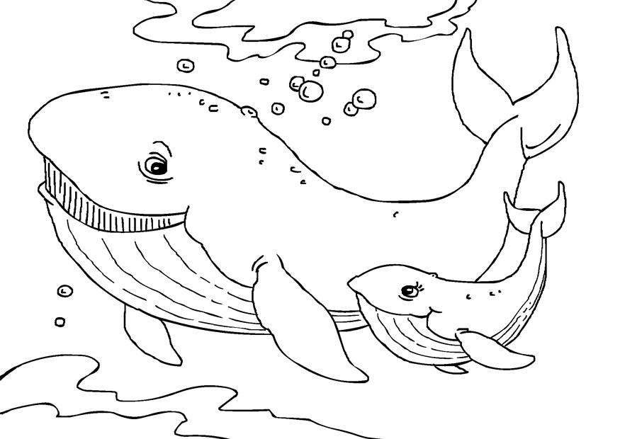 Dibujos para colorear e imprimir Whales