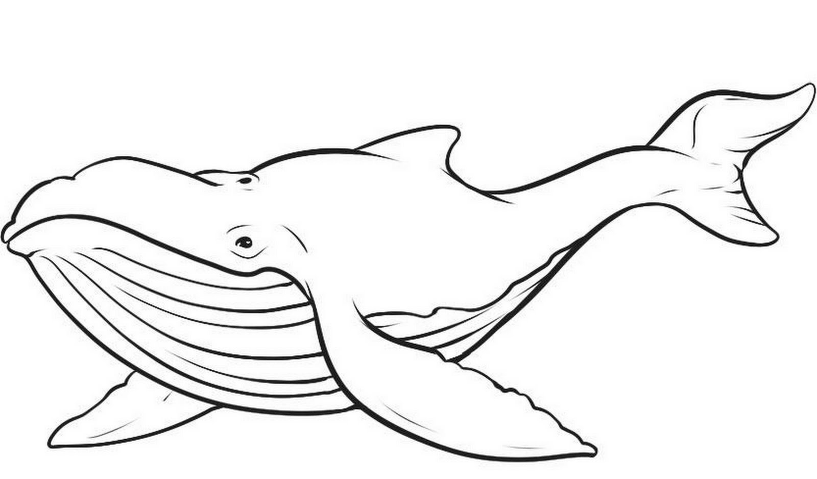 Dibujos para colorear e imprimir Whales