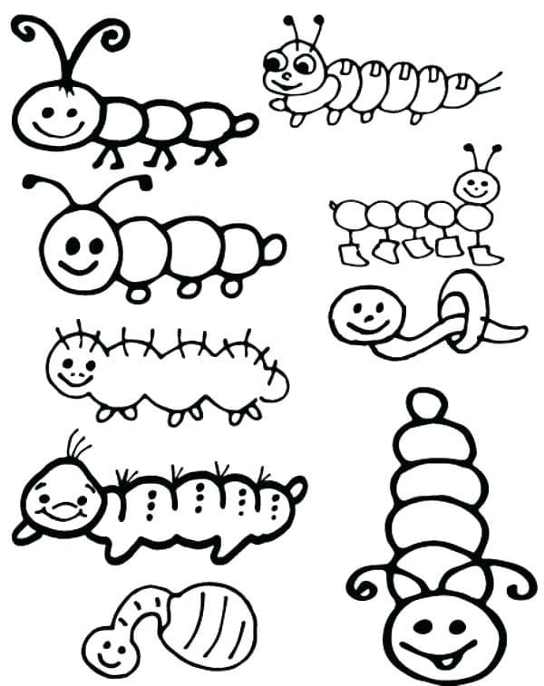 Dibujos para colorear e imprimir Worm