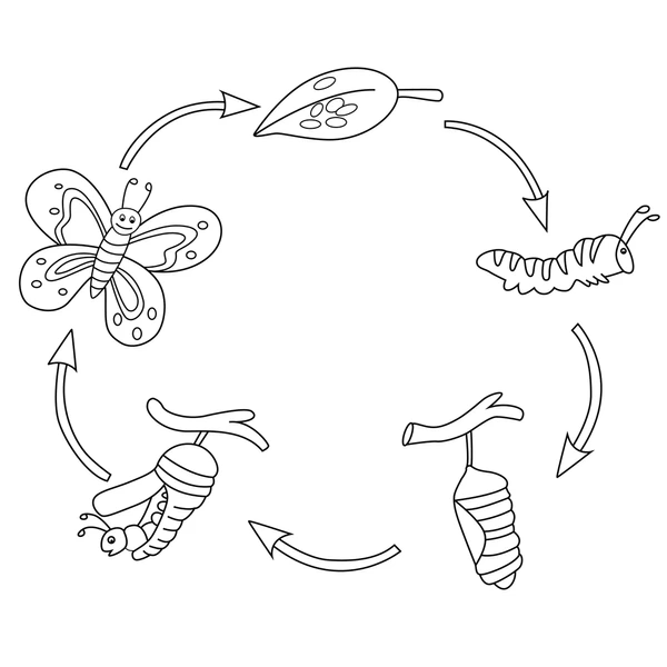 Dibujos para colorear e imprimir Worm