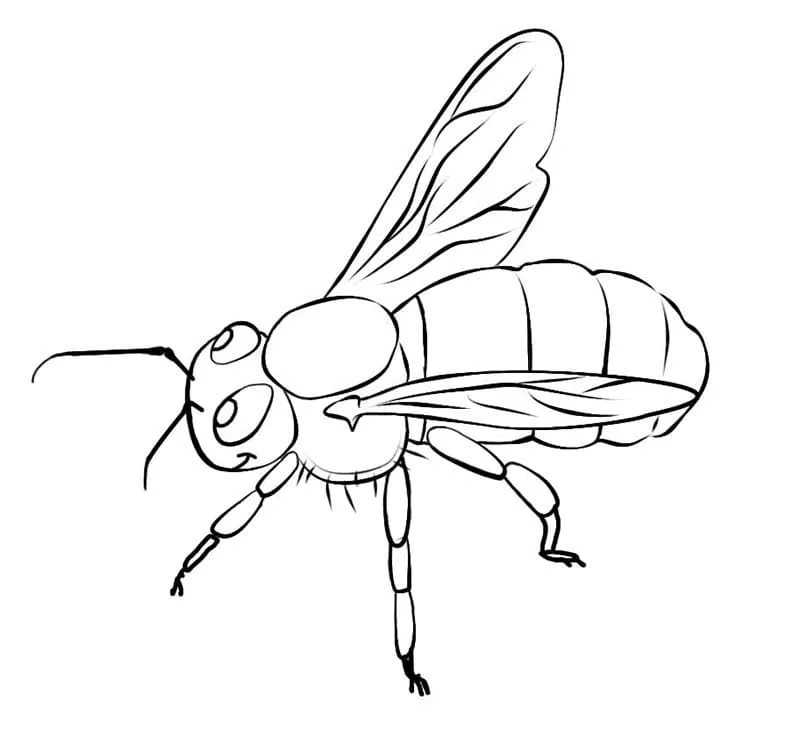 Dibujos para colorear e imprimir Bees